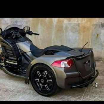 Nestor - Angles-sur-l'Anglin - Vienne | Speed Dating