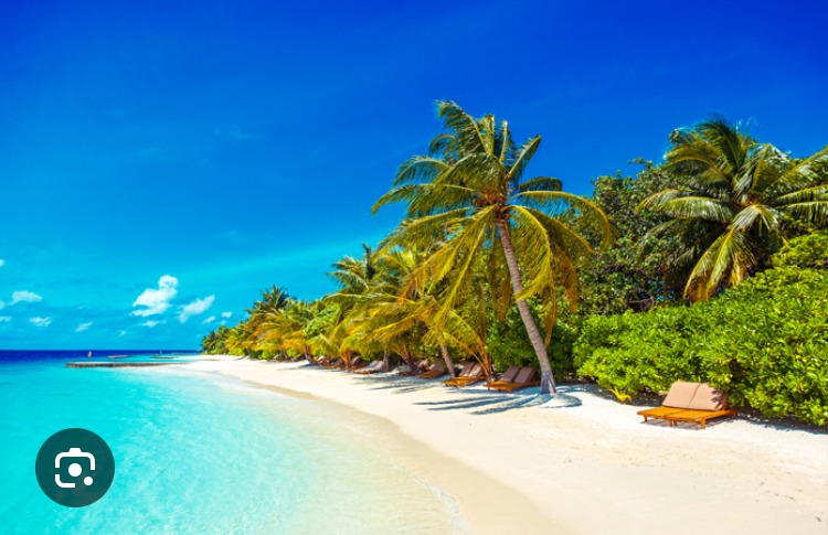 Railey - Anglure - Marne | Speed Dating