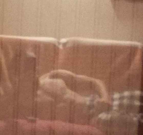 Theotim - Abbéville-lès-Conflans - Meurthe-et-Moselle | Speed Dating