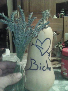 Ibrahima-sory - Aucazein - Ariège | Speed Dating