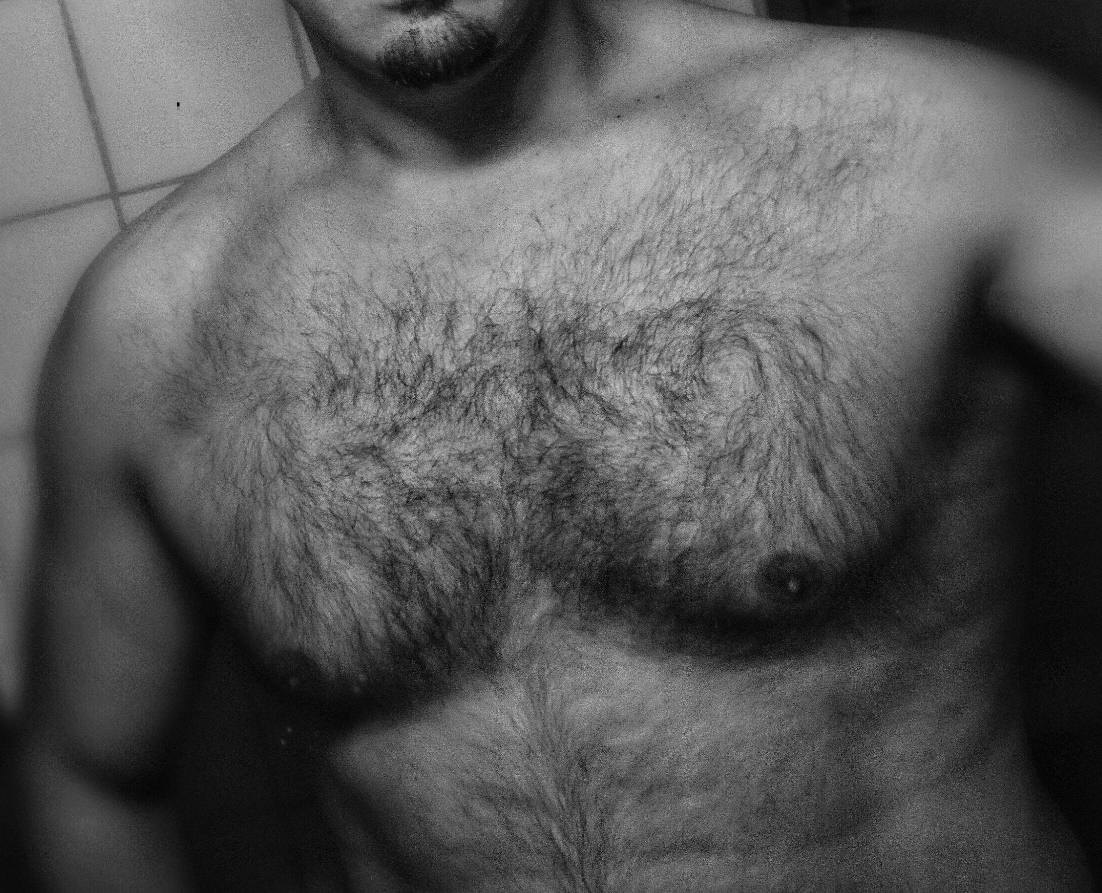 Aster - Bacourt - Moselle | Speed Dating